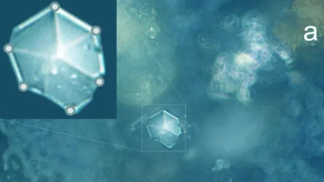 Os novos cristais são formados por camadas de grafite (Imagem: Reprodução/Taskaev et al.)