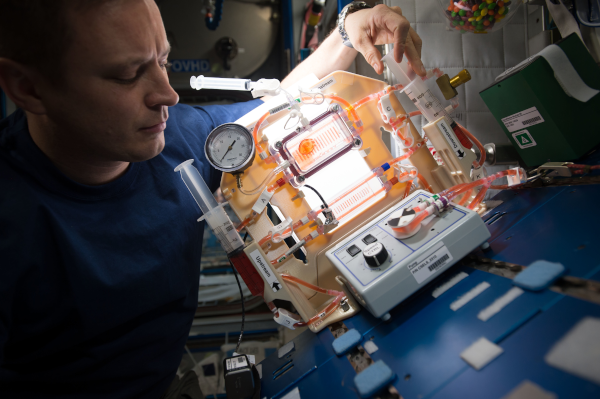 Astronauta Jack Fischer, da NASA, conduzindo um experimento sobre o comportamento de fluidos em condições de microgravidade a bordo da ISS (Imagem: Reprodução/NASA)
