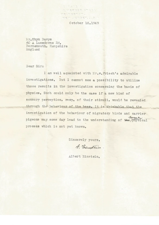 Carta inédita de Albert Einstein recém-descoberta (Imagem: Reprodução/Dyer et al., 2021/Journal of Comparative Physiology A)