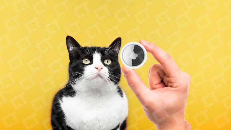 AirTag com gato