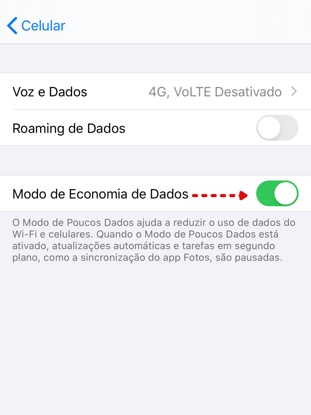 Modo de economia de dados do iPhone  / Captura de tela: Bruno Salutes
