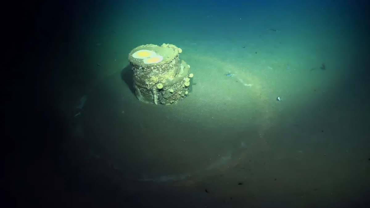 Finalmente sabem o que há dentro de barris misteriosos e submersos na Califórnia