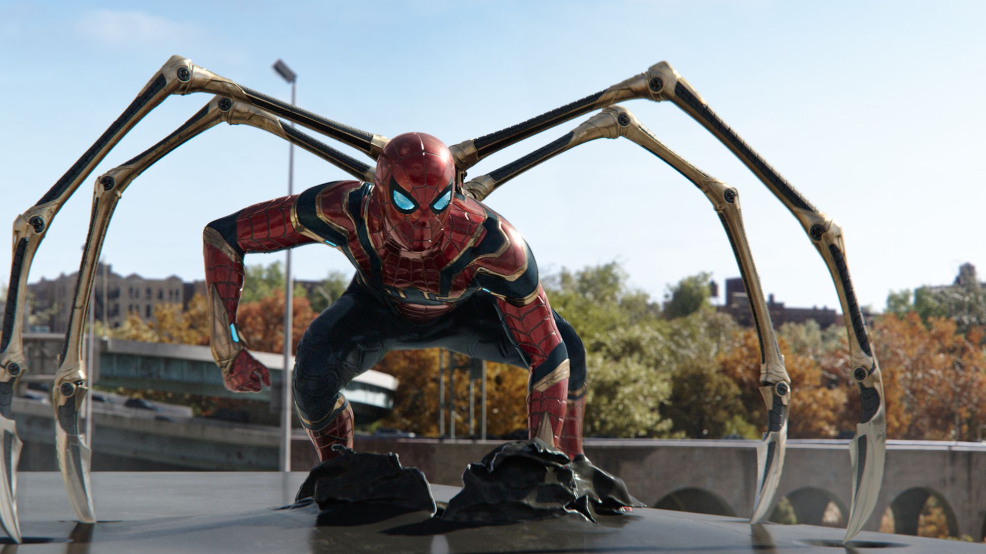 Homem aranha pelado