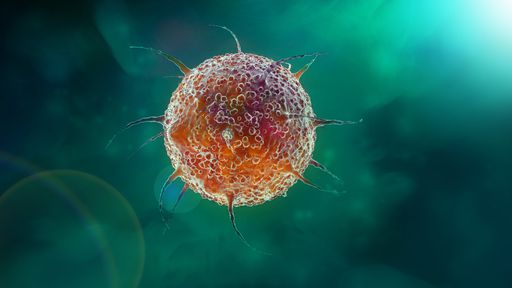 Transformaram calcário em ouro artificial — e isso pode revolucionar a medicina!