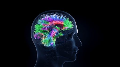 Inteligência artificial é treinada para transformar atividade cerebral em texto
