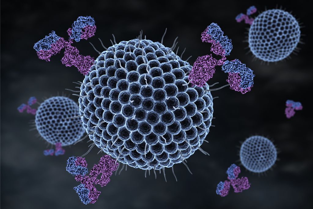 Vírus da herpes (Imagem: iLexx/envato)