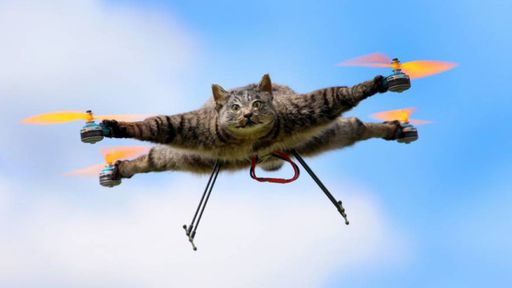 Homem transforma animais mortos em drones