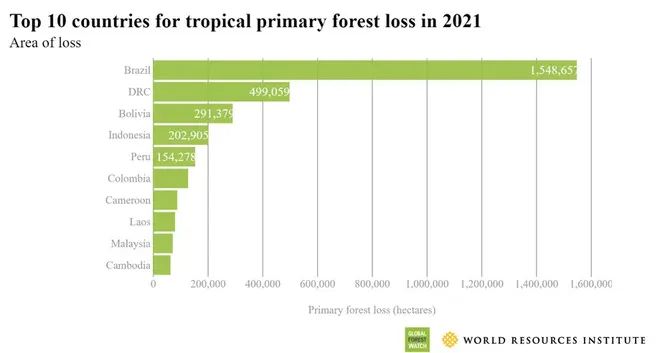Em 2021 o Brasil perdeu mais de 1,5 bilhão de suas florestas primárias. A Amazônio foi a região mais afetada (Imagem: Reprodução/WRI)