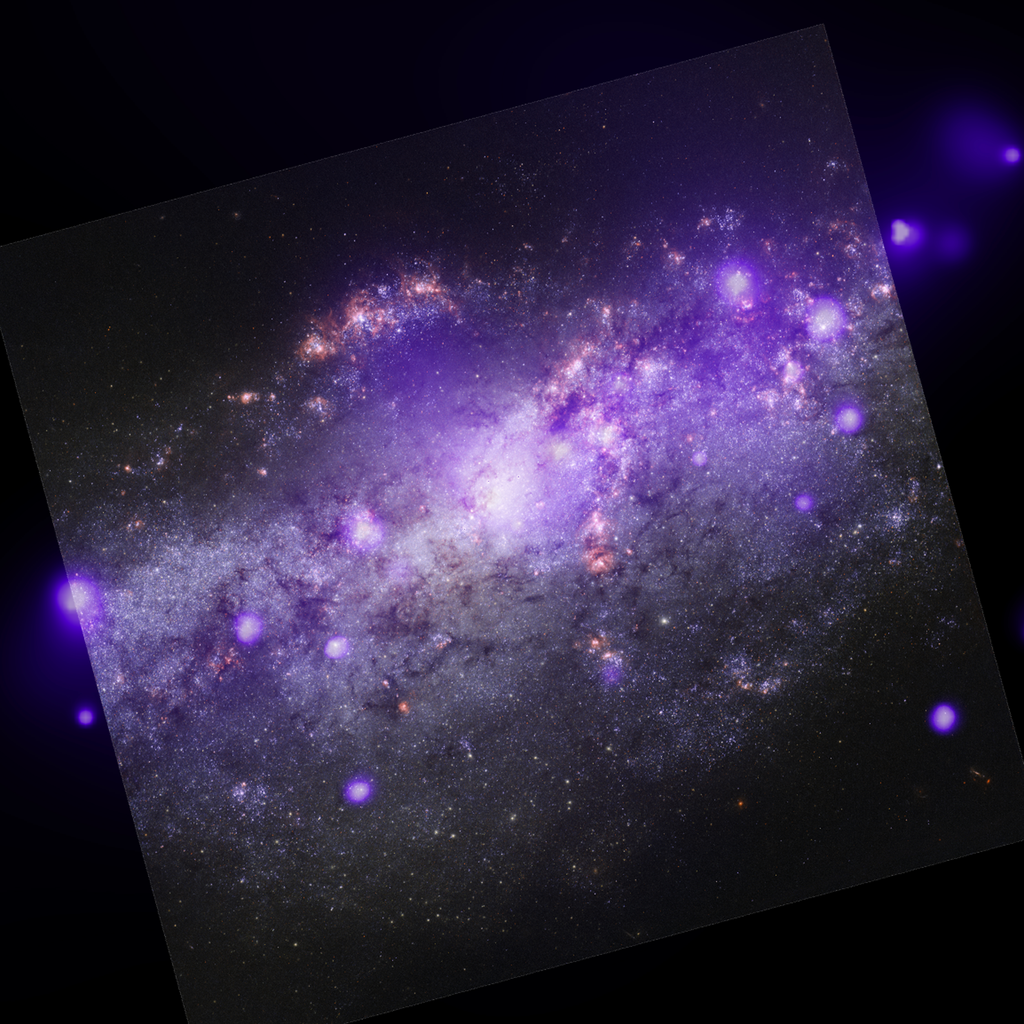Galáxia NGC 4490; na imagem, os dados de raios X aparecem em roxo, e as demais cores são da luz visível, observada pelo Hubble (Imagem: Reprodução/NASA/CXC/SAO;NASA/STScI)