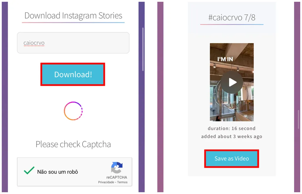 Como salvar Stories do Instagram com música: site gratuito baixa fotos e vídeos da rede social (Captura de tela: Caio Carvalho)