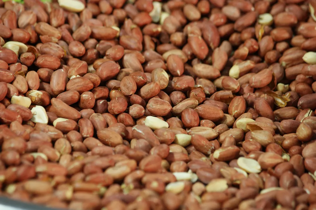 Alergia alimentar pode ser provocada por diferentes alimentos, como o amendoim (Imagem: Stockfilmstudio/Envato Elements)