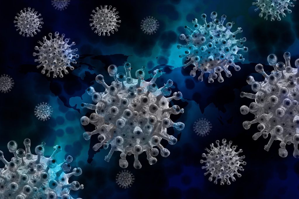 Especialistas tentam entender se a COVID-19 em espécies diferentes pode ser uma ferramenta importante na luta para deter a pandemia,(Imagem:  Gerd Altmann/Pixabay) 