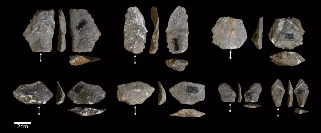 Exemplos de ferramentas de pedra criadas acidentalmente por macacos quebrando nozes na Tailândia, muito similares às encontradas em sítios arqueológicos de nossos ancestrais (Imagem: Proffitt et al./Science Advances)