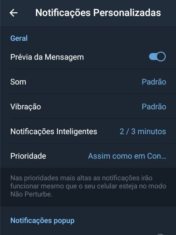 Feito isso, já é possível personalizar as notificações de cada contato no Telegram (Captura de tela: Matheus Bigogno)