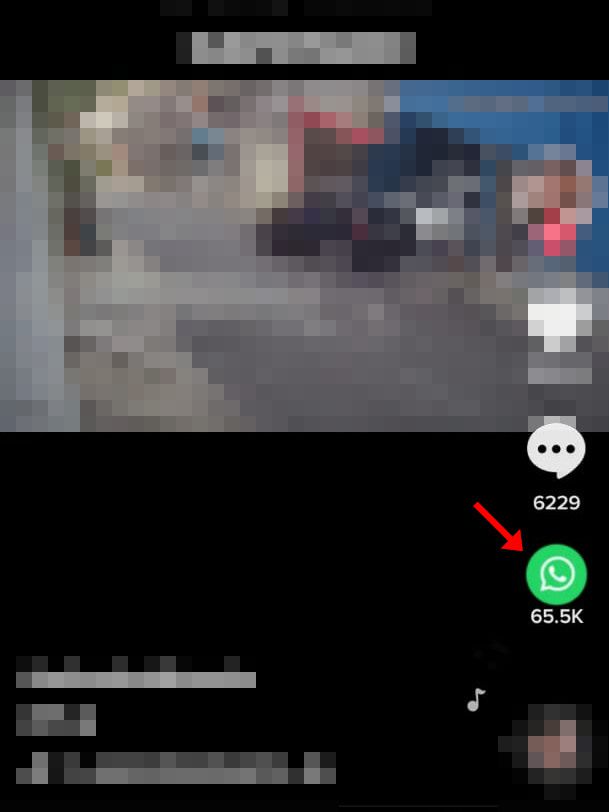 Clique no ícone do "WhatsApp" no menu lateral direito (Captura de tela: Matheus Bigogno)