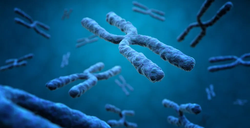 Cromossomos extras aumentam o risco de alguns problemas de saúde tanto em homens quanto em mulheres (Imagem: claudioventrella/Envato Elements)