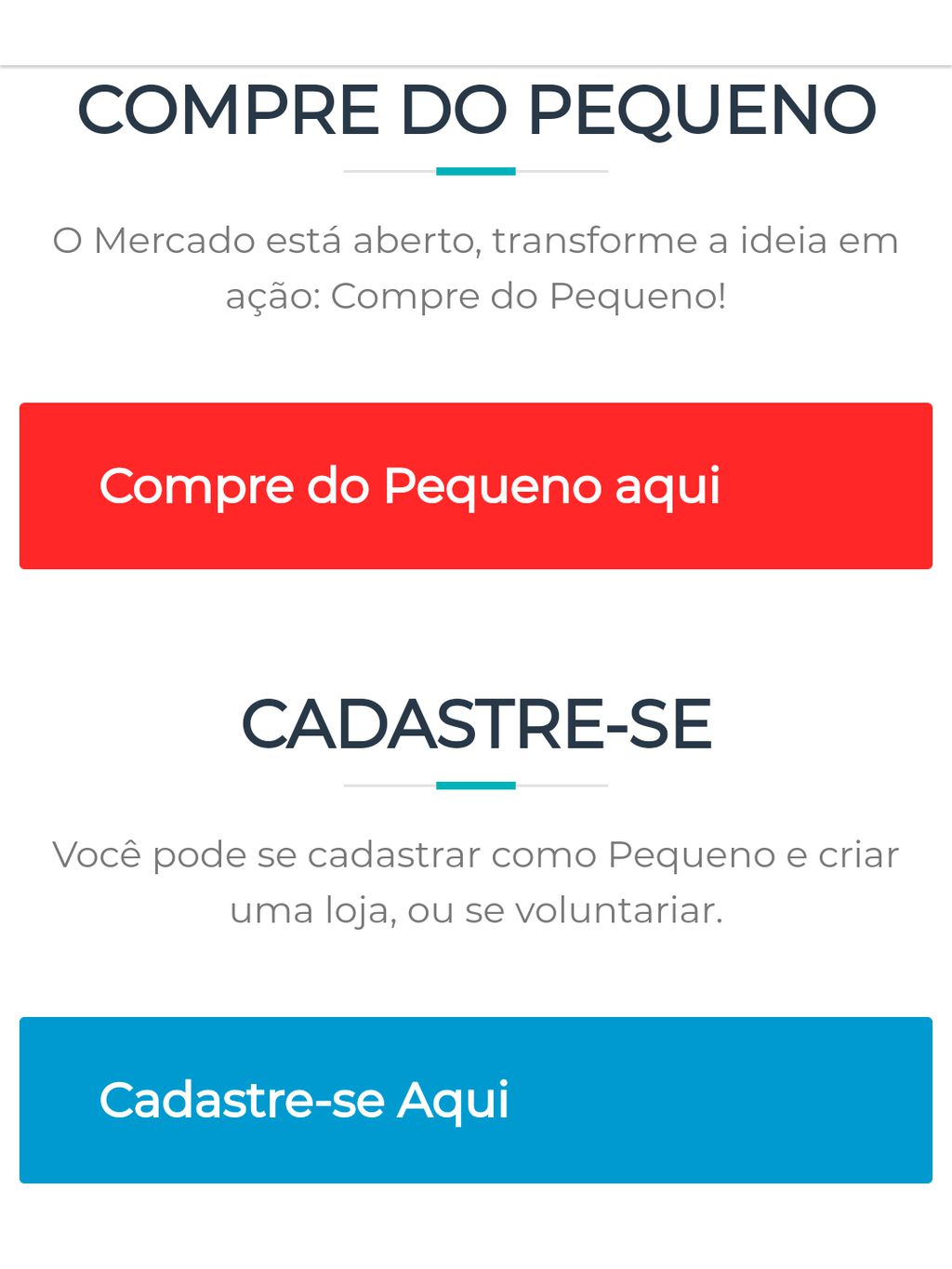A página inicial do Ajude o Pequeno possui uma interface para consumidores e empreendedores (Foto: Reprodução/André Magalhães)