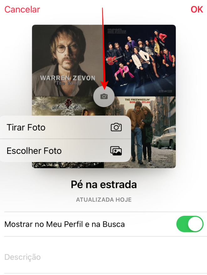 Escolha entre as duas opções para personalizar a capa da playlist - Captura de tela: Thiago Furquim (Canaltech)