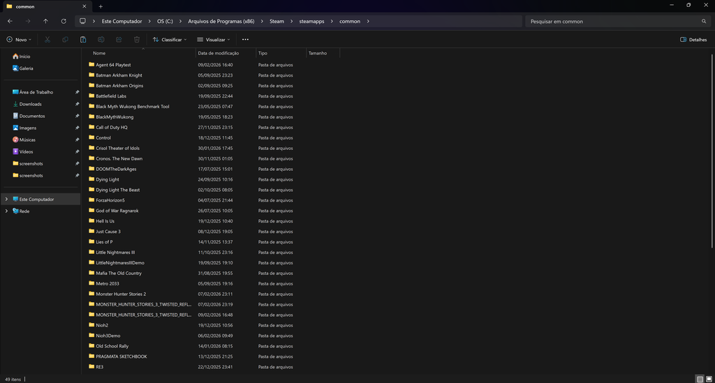 Imagem da pasta Steam