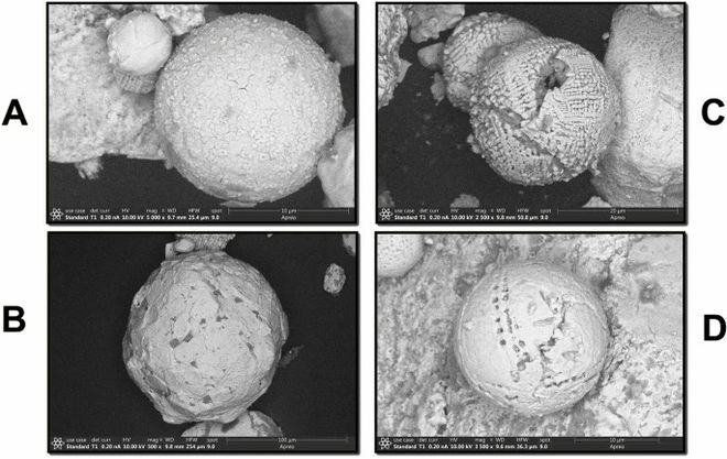 Micrometeoritos coletados em amostras de diversos sítios arqueológicos da região de Hopewell (Imagem: Reprodução/Kenneth Tankersley et al.)