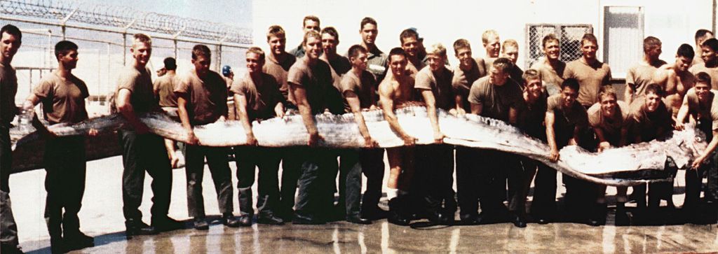 Um peixe-remo de sete metros e 140 kg, encontrado nas águas do Oceano Pacífico, na costa da Califórnia, em 1996 (Imagem: Wm. Leo Smith/Domínio Público)