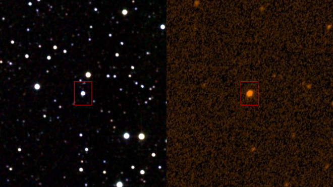 Estrela de Tabby em infravermelho e em ultravioleta (Imagem: Reprodução/IPAC/NASA/STScI) 