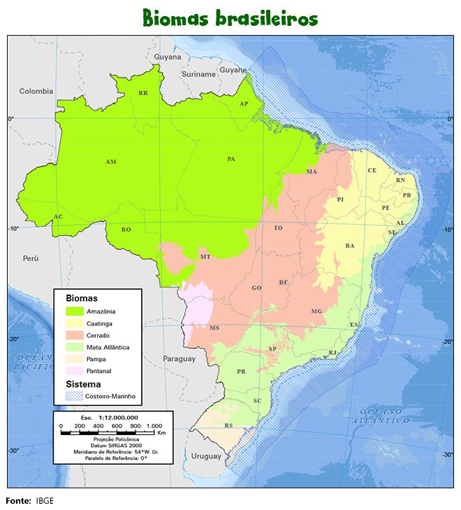 O mapa de biomas brasileiros revela a grande abrangências dessas áreas (Imagem: Reprodução/IBGE)