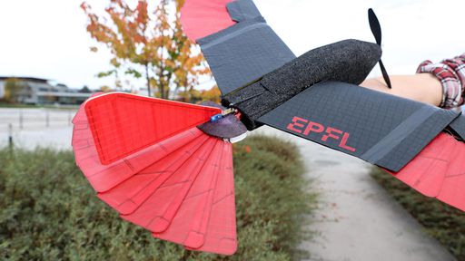 Robôs inspirados em pássaros batem asas e podem caçar drones