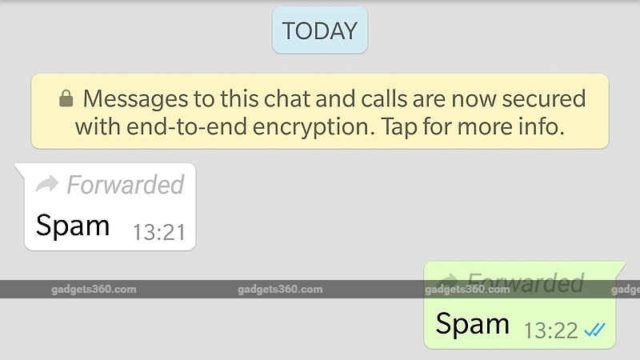WhatsApp trabalha em recurso que indica se mensagem é original ou encaminhada