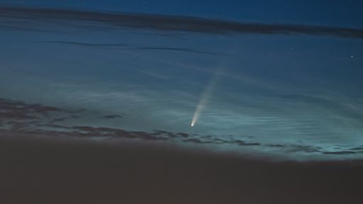 Cometa NEOWISE se aproxima da Terra e dá espetáculo no céu noturno; veja fotos