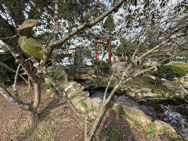 iPhone 16 Pro Max - Câmera ultrawide