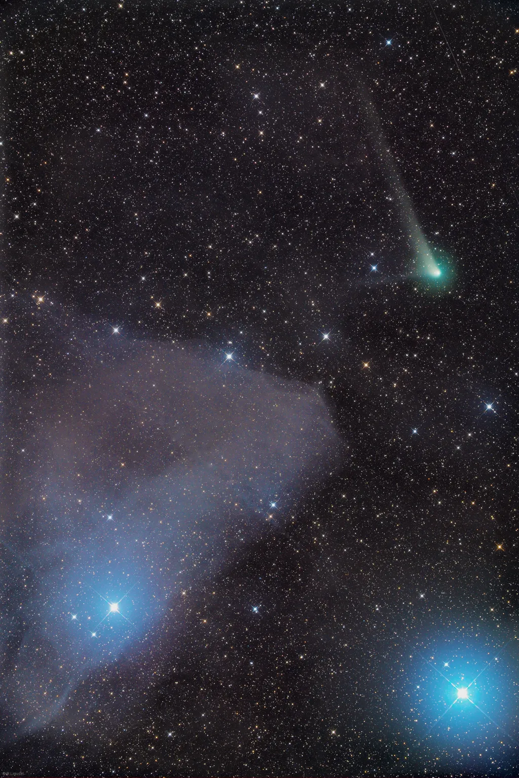 Cometa C/2017 K2 fotografado durante sua aproximação máxima do Sol (Imagem: Reprodução/Rolando Ligustri (CARA Project, CAST))