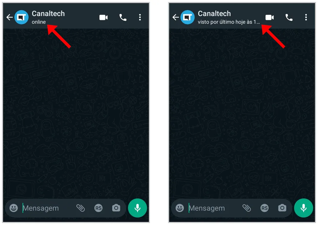 Como saber que a pessoa está online no WhatsApp; veja como acessar essa informação no celular (Captura de tela: Matheus Bigogno)