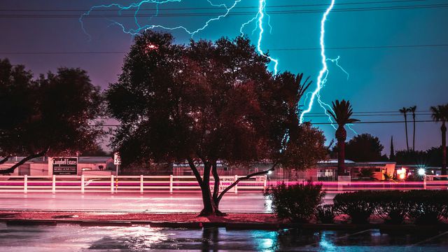 Michael D/Unsplash