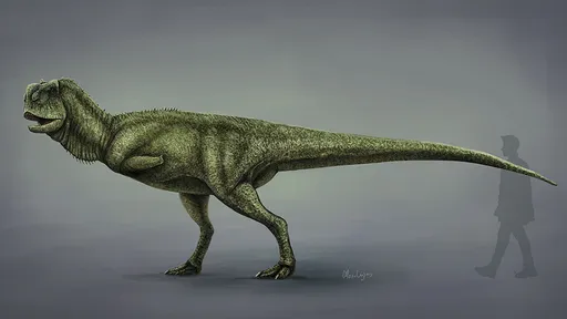 Fóssil de dinossauro predador pequeno é encontrado no interior de São Paulo 