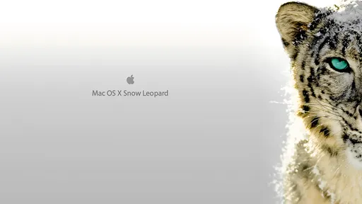 download chrome for mac os x snow leopard