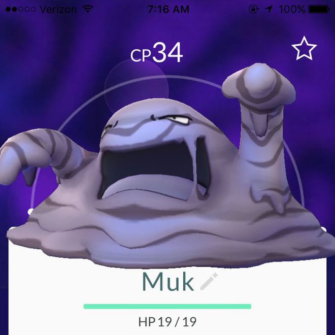 pokemon go pokemon go
