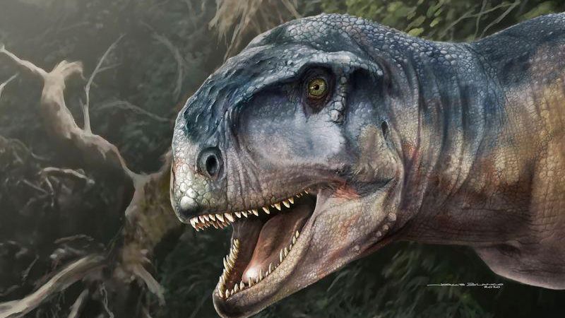 Trajeto Do Achado Do Dinossauro Da Ajuda Para Aninhar O Labirinto