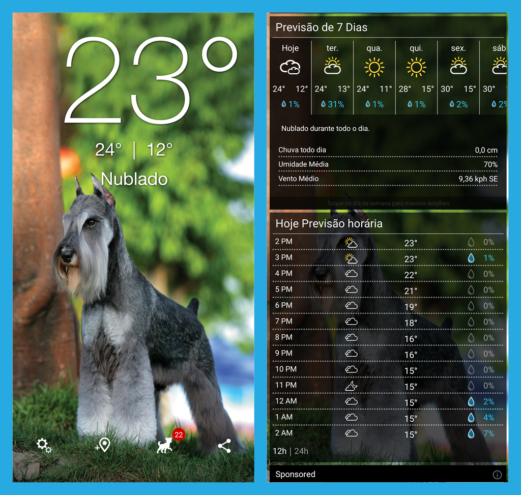 Veja a temperatura acompanhada de fotos de cães (Imagem: André Magalhães/Captura de tela)