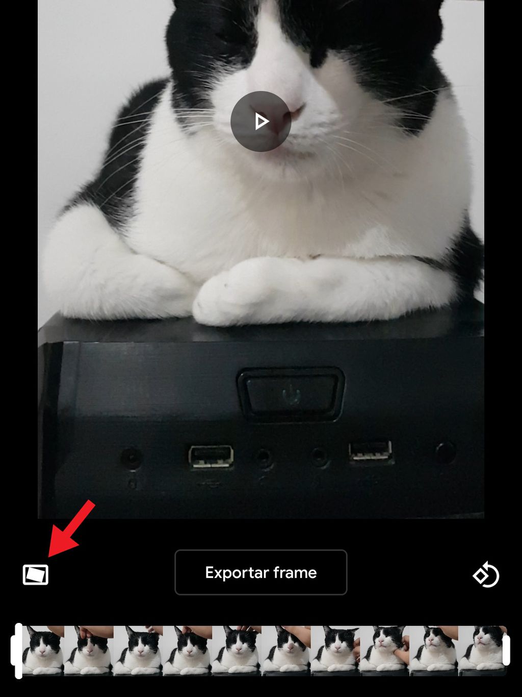 outras opções permitem exportar um frame e girar vídeos (Foto: Diego Sousa/Canaltech)