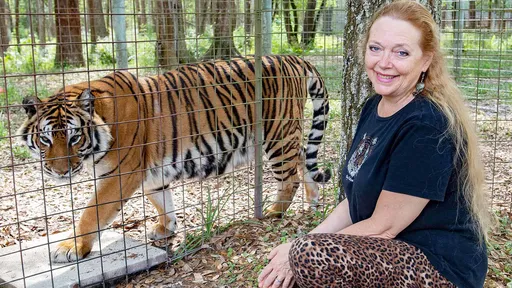Carole Baskin, de A Máfia dos Tigres, agora é dona do zoológico de Joe Exotic