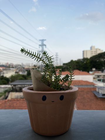 Foto de objeto com fundo desfocado no iPhone SE 2020