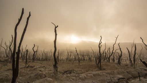 Físicos teóricos preveem colapso da humanidade em 40 anos