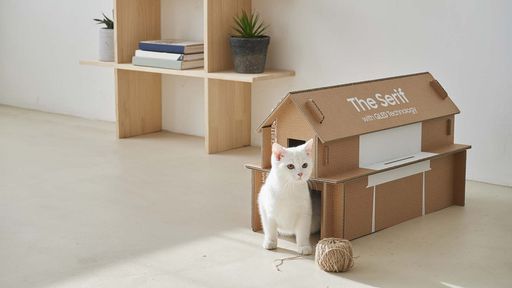Samsung muda caixa de suas TVs para elas virarem casinhas para gatos