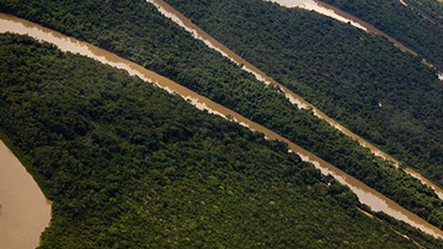 Afinal, quem deve ficar com o domínio .amazon: a Amazônia ou a multinacional?