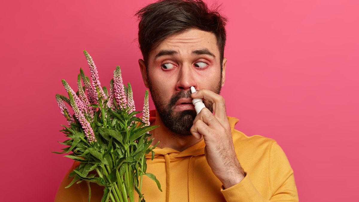 Planta "mais fedida do mundo" floresce em exposição no Reino Unido