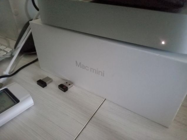 TCL 40 SE - Câmera principal (modo noturno)