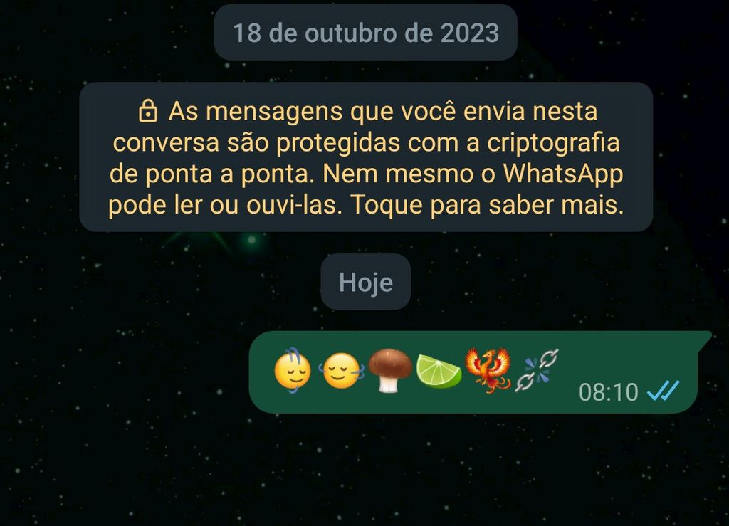 WhatsApp ganhou seis novos emojis na versão Beta para Android (Imagem: Captura de tela/Douglas Ciriaco/Canaltech)