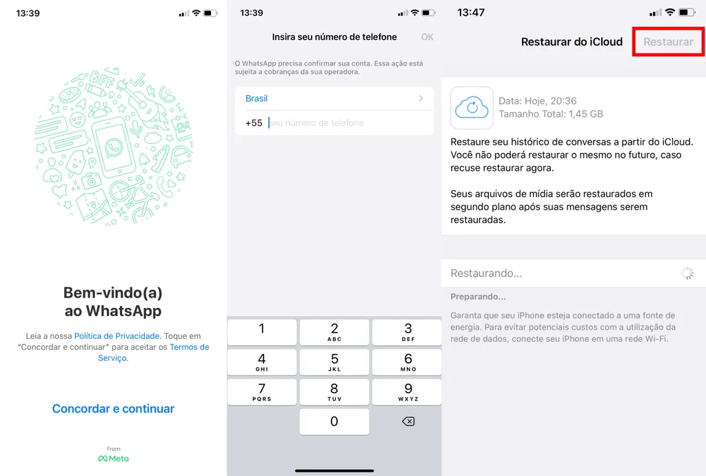 Restaure as conversas do WhatsApp via iCloud no iPhone (Imagem: Captura de Tela/Guilherme Haas/Canaltech)