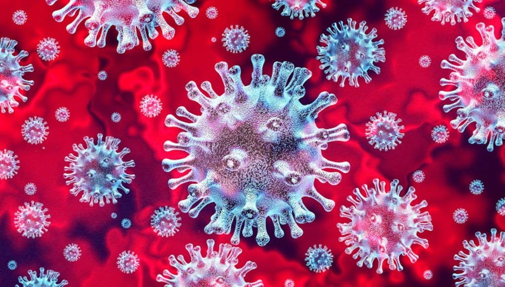 OMS relata incerteza sobre curados da COVID-19 serem imunes a uma nova infecção